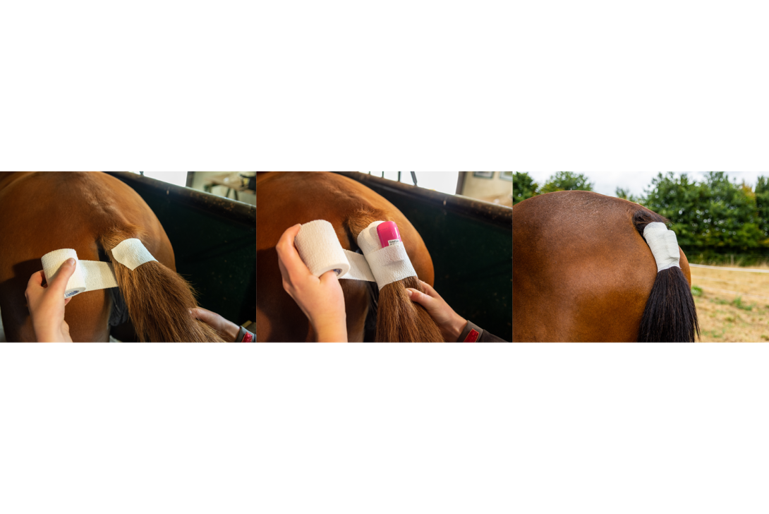 Easy Foal Kit with 1 additional sensor